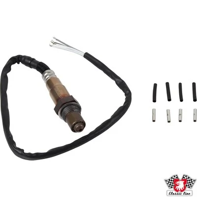 Oxygen Sensor